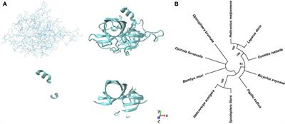 Mutation of Serine protease 1 Induces Male Sterility in Bombyx mori